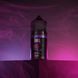 Набір Chaser BL 30ml 50\65mg BLACKBERRY SOUR RASPBERRY 1426 фото